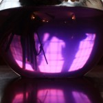 IMG_8981 IMG_8981